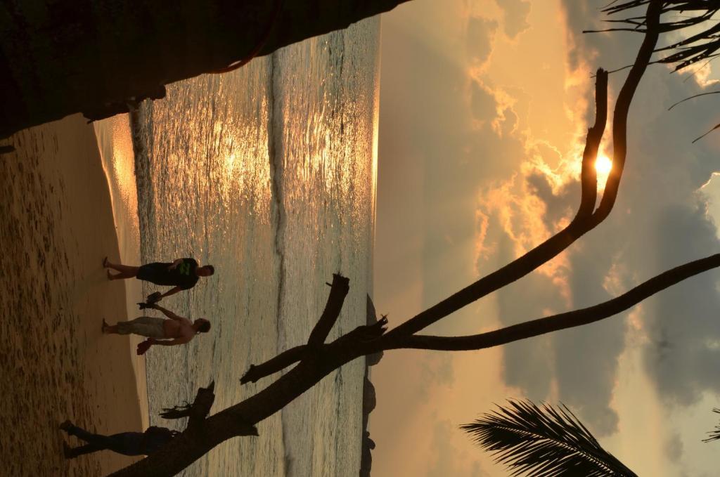 Time N Tide Beach Resort هيكادوفا المظهر الخارجي الصورة