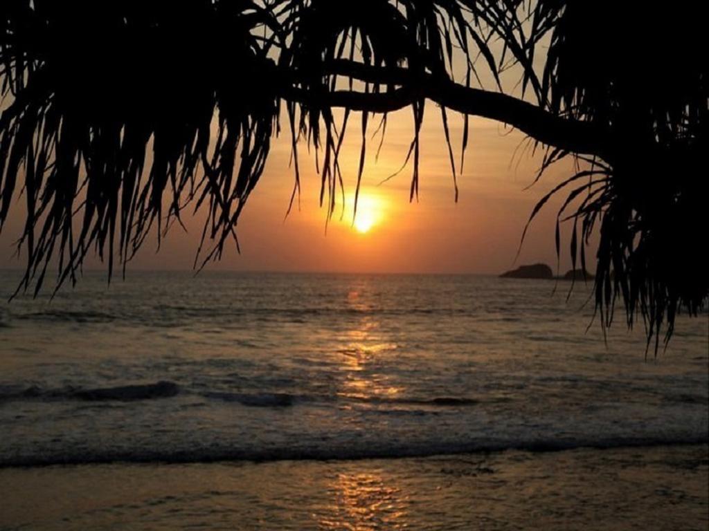 Time N Tide Beach Resort هيكادوفا المظهر الخارجي الصورة